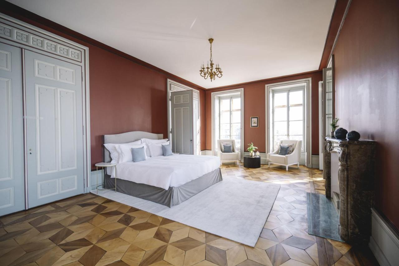 Chateau De L'Aile- Boutique Suites ヴェヴェイ エクステリア 写真